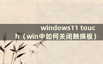 windows11 touch（win中如何关闭触摸板）